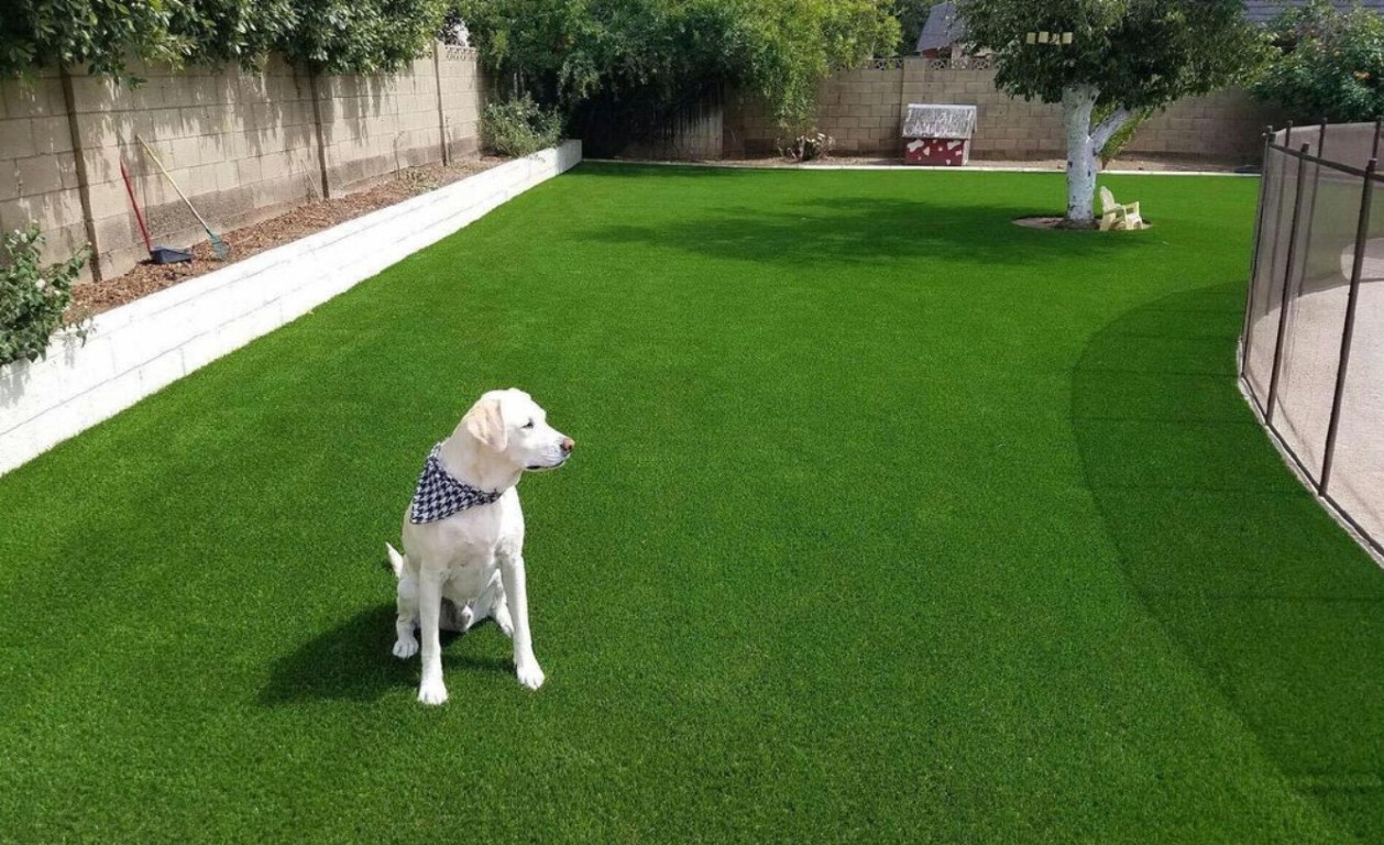 Pet Turf / Dog Turf Systems installation in San Ramon, CA